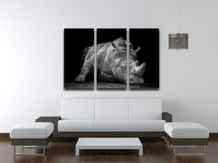 Black And White Rhink 3 Split Panel Canvas Print - Canvas Art Rocks - 3