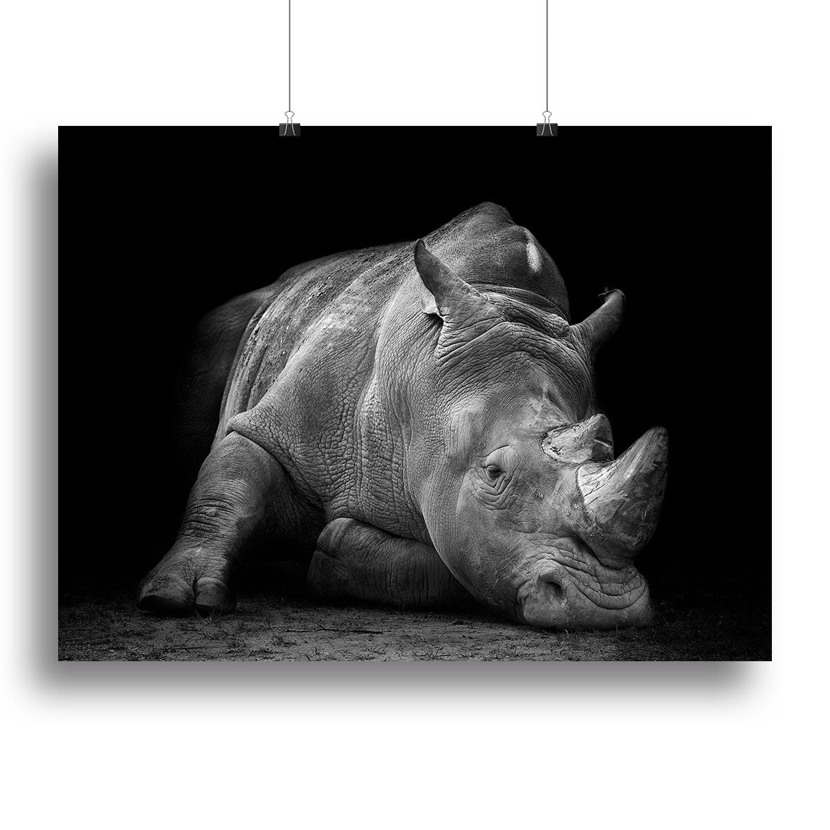 Black And White Rhink Canvas Print or Poster - Canvas Art Rocks - 2