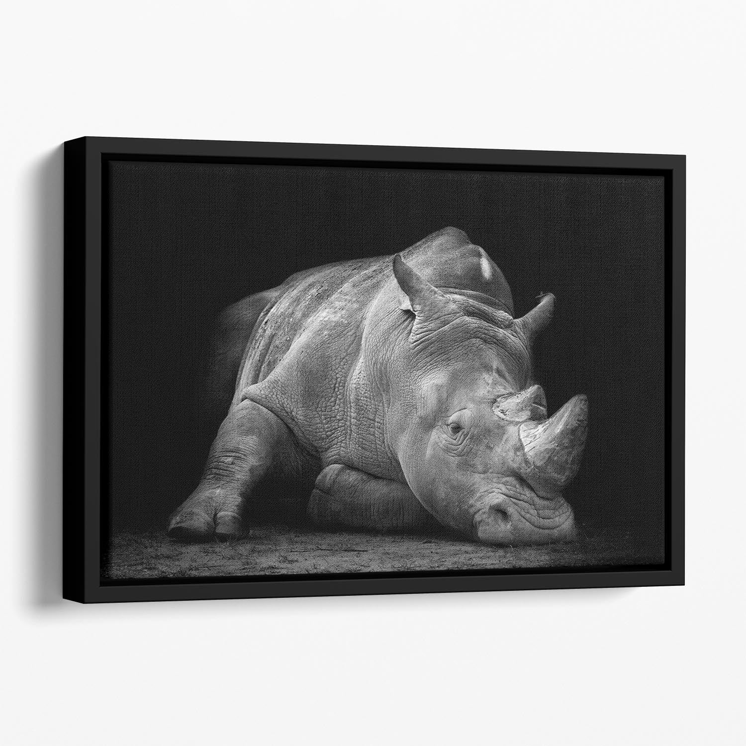 Black And White Rhink Floating Framed Canvas - Canvas Art Rocks - 1