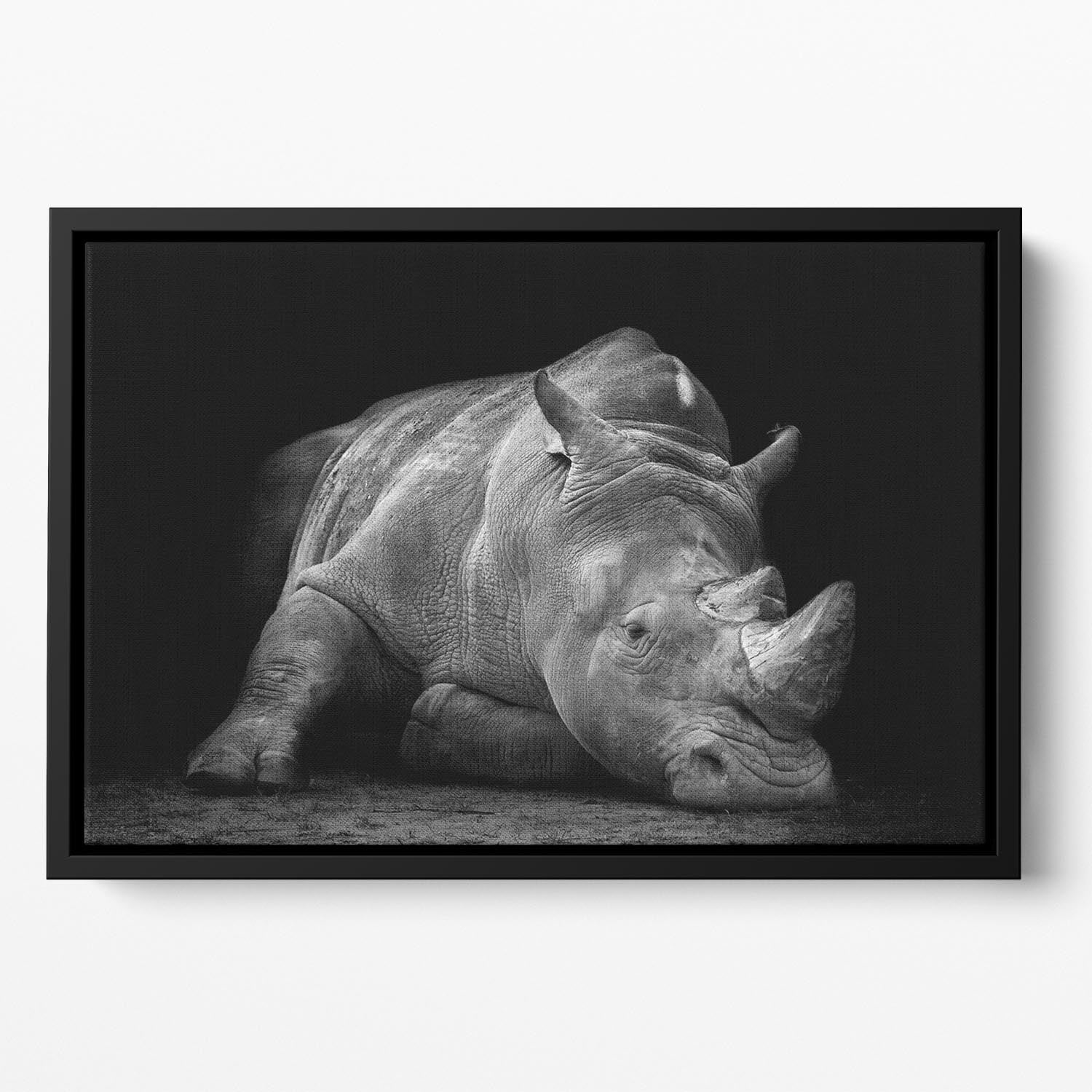 Black And White Rhink Floating Framed Canvas - Canvas Art Rocks - 2