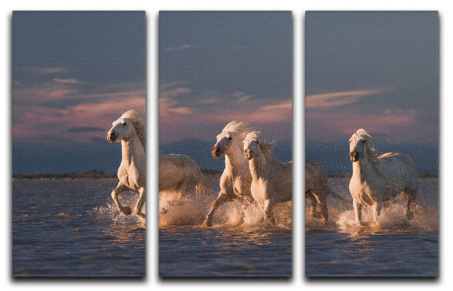Wite Horses Running In Water 2 3 Split Panel Canvas Print - Canvas Art Rocks - 1