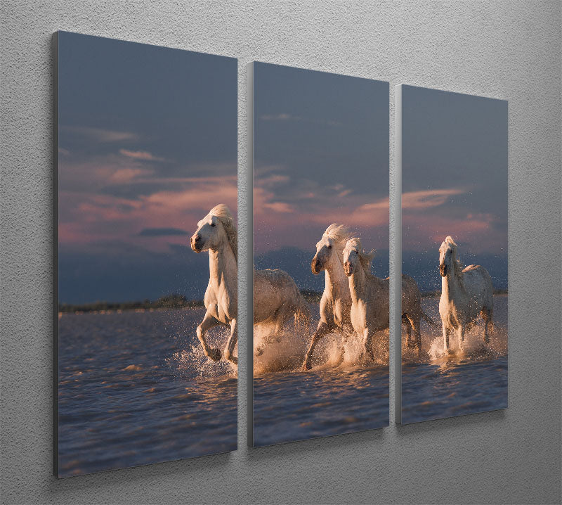 Wite Horses Running In Water 2 3 Split Panel Canvas Print - Canvas Art Rocks - 2