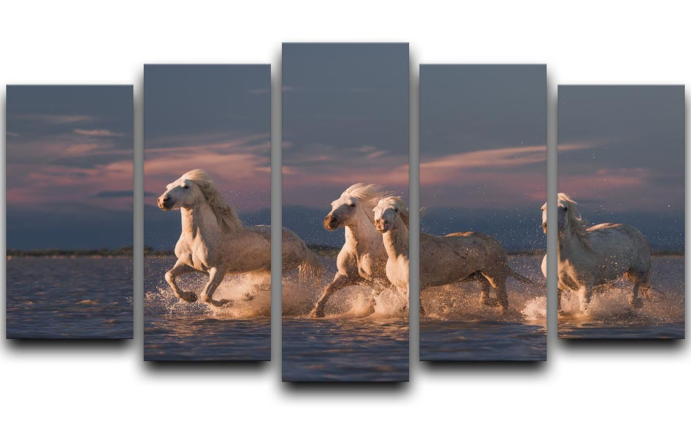 Wite Horses Running In Water 2 5 Split Panel Canvas - Canvas Art Rocks - 1