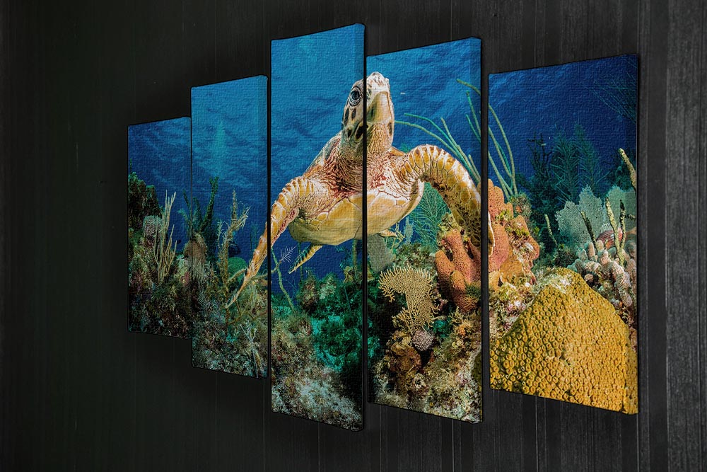 Hawksbill Turtle Swimming Through Caribbean Reef 5 Split Panel Canvas - Canvas Art Rocks - 2