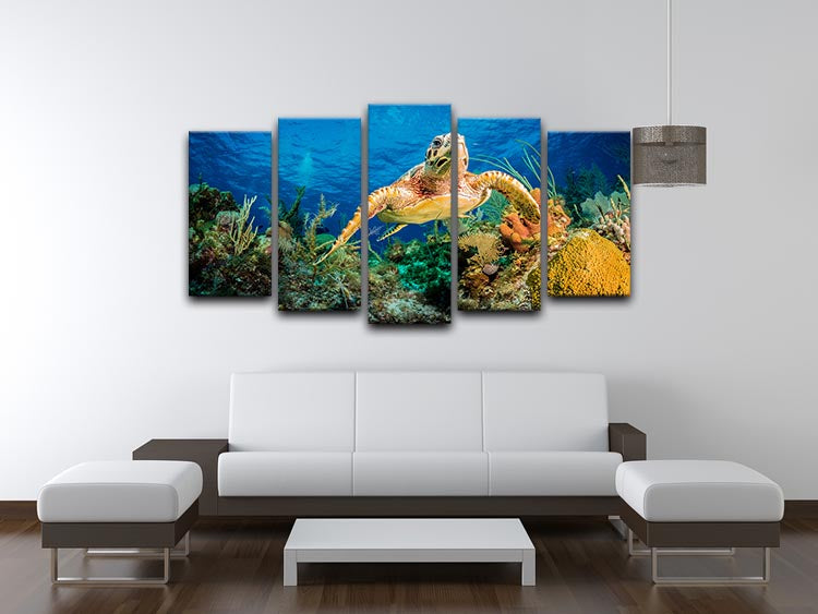 Hawksbill Turtle Swimming Through Caribbean Reef 5 Split Panel Canvas - Canvas Art Rocks - 3