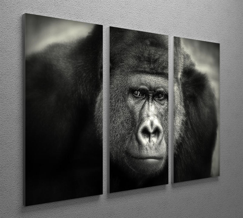 Gorilla 3 Split Panel Canvas Print - Canvas Art Rocks - 2