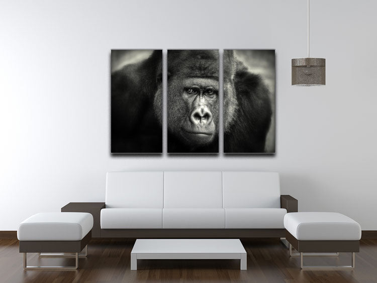Gorilla 3 Split Panel Canvas Print - Canvas Art Rocks - 3