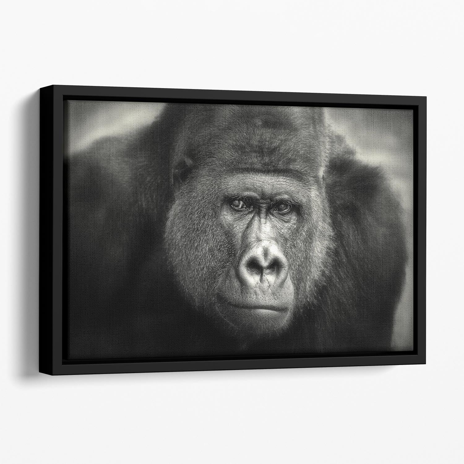 Gorilla Floating Framed Canvas - Canvas Art Rocks - 1