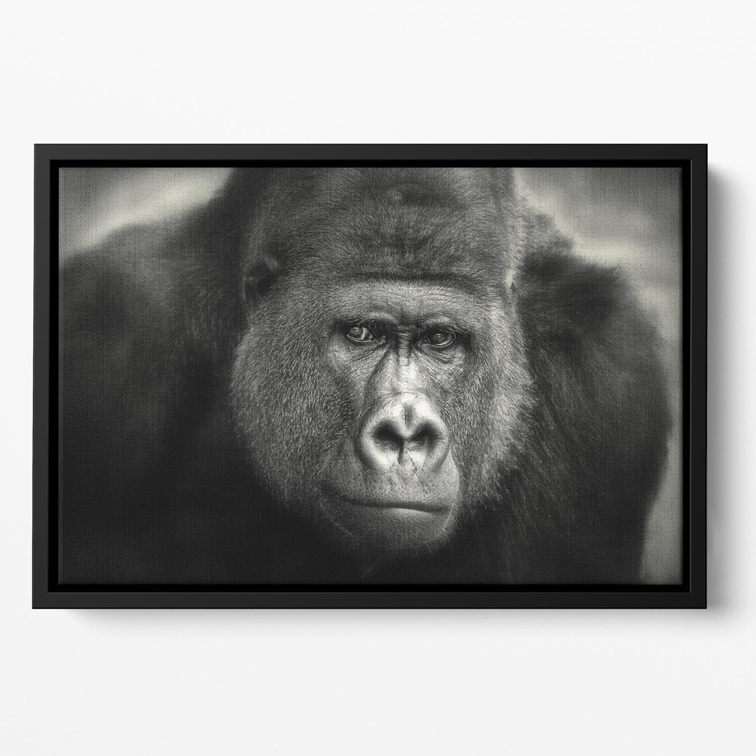 Gorilla Floating Framed Canvas - Canvas Art Rocks - 2