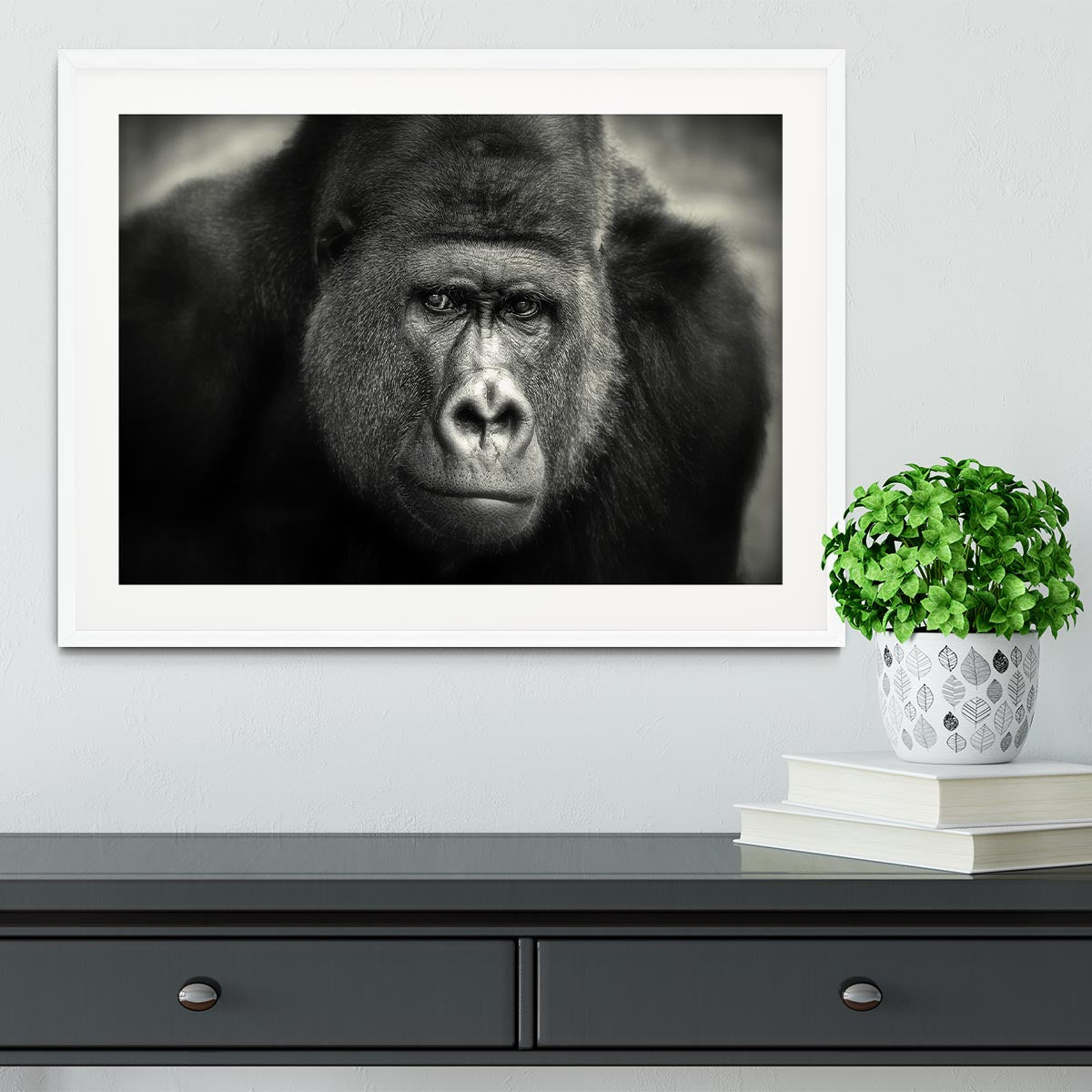 Gorilla Framed Print - Canvas Art Rocks - 5