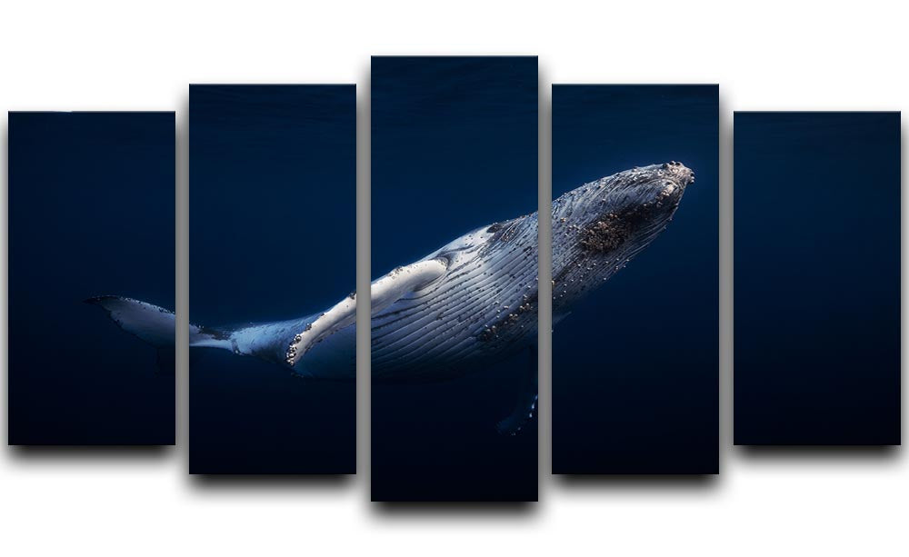 Humpback Whale 5 Split Panel Canvas - Canvas Art Rocks - 1