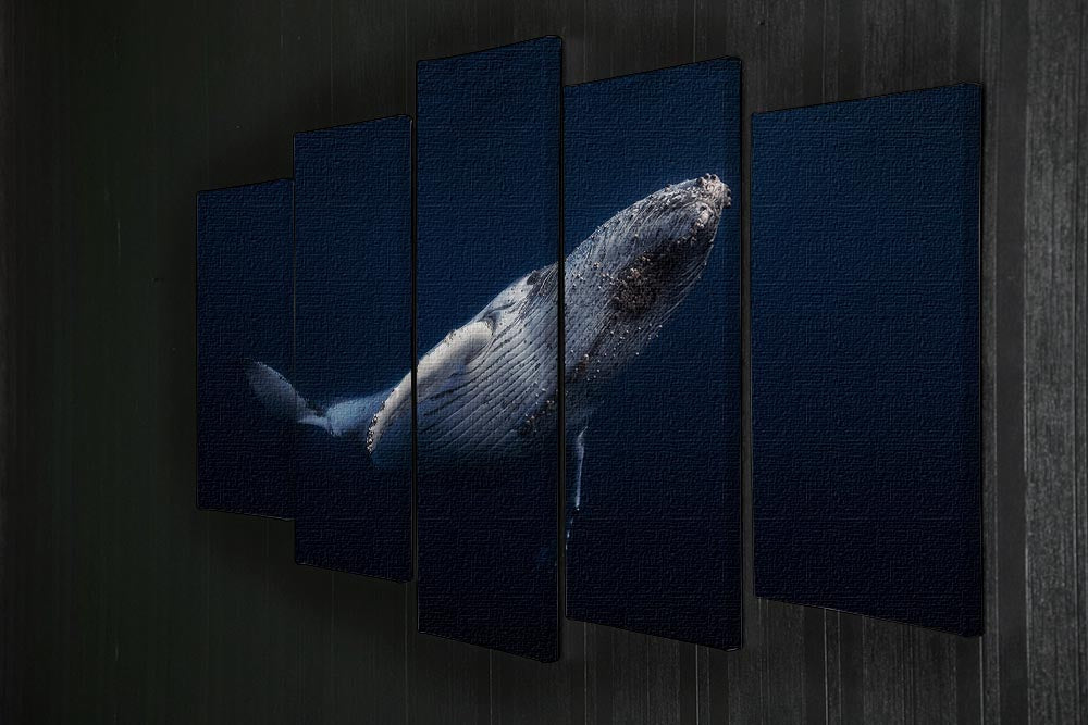 Humpback Whale 5 Split Panel Canvas - Canvas Art Rocks - 2