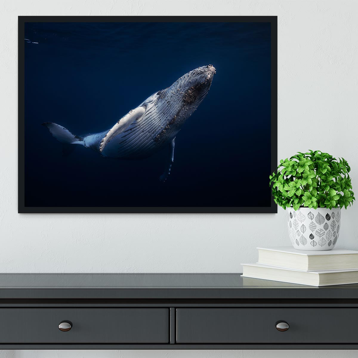 Humpback Whale Framed Print - Canvas Art Rocks - 2