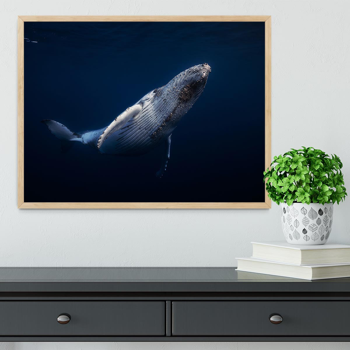 Humpback Whale Framed Print - Canvas Art Rocks - 4