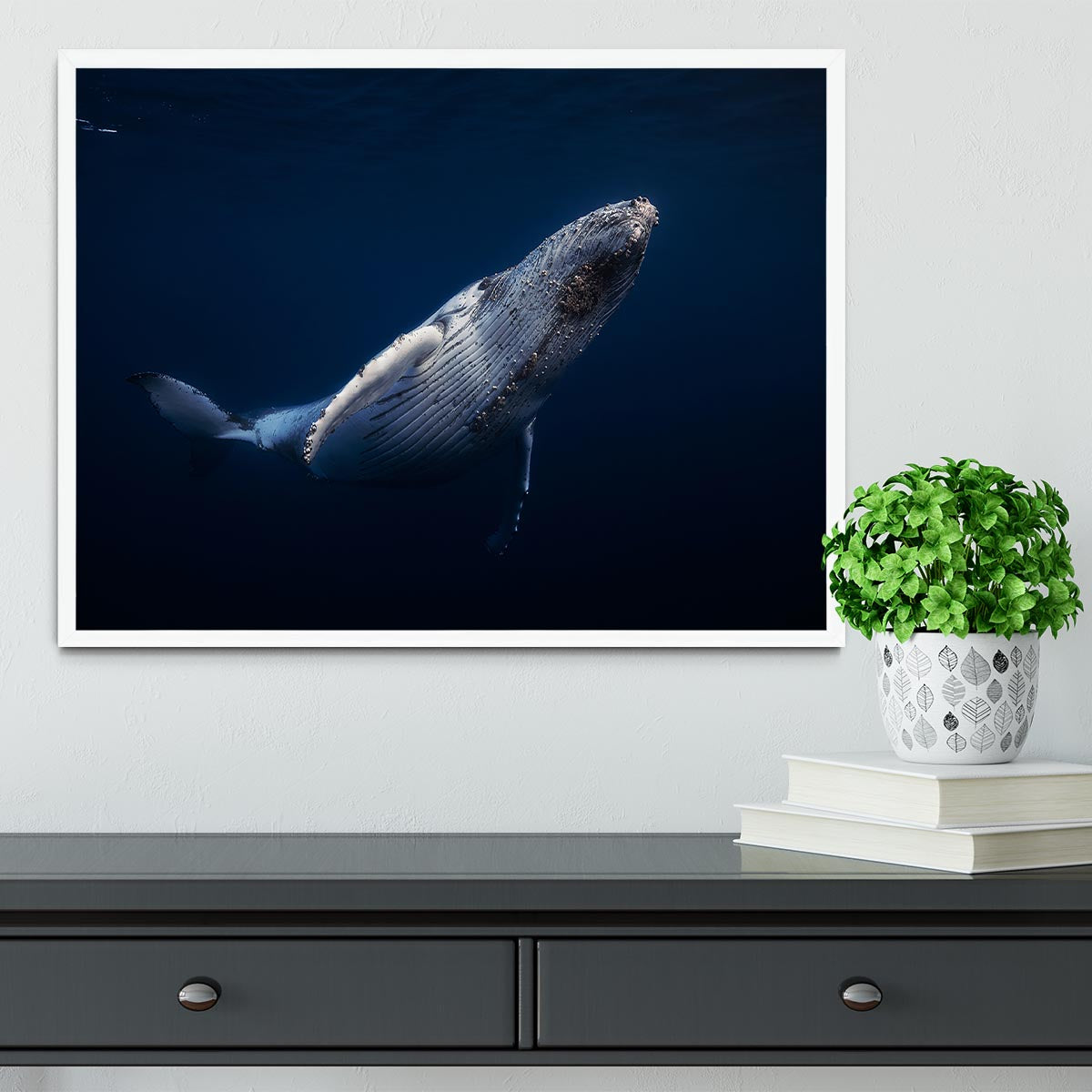 Humpback Whale Framed Print - Canvas Art Rocks -6