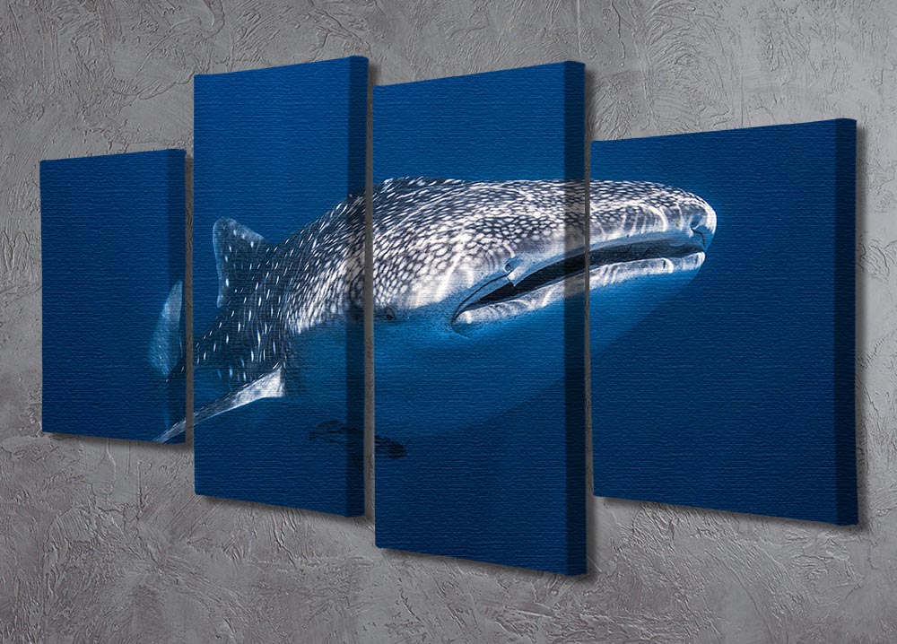 Whale Shark 4 Split Panel Canvas - Canvas Art Rocks - 2