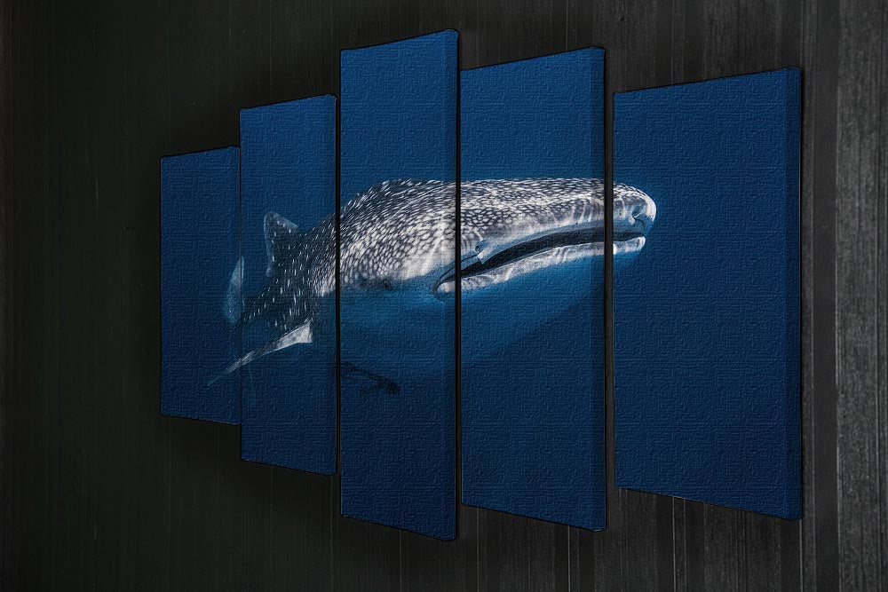 Whale Shark 5 Split Panel Canvas - Canvas Art Rocks - 2