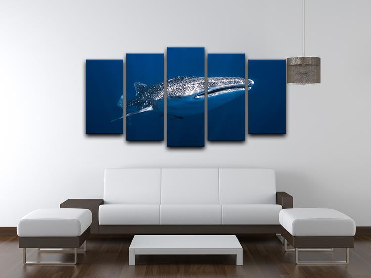Whale Shark 5 Split Panel Canvas - Canvas Art Rocks - 3