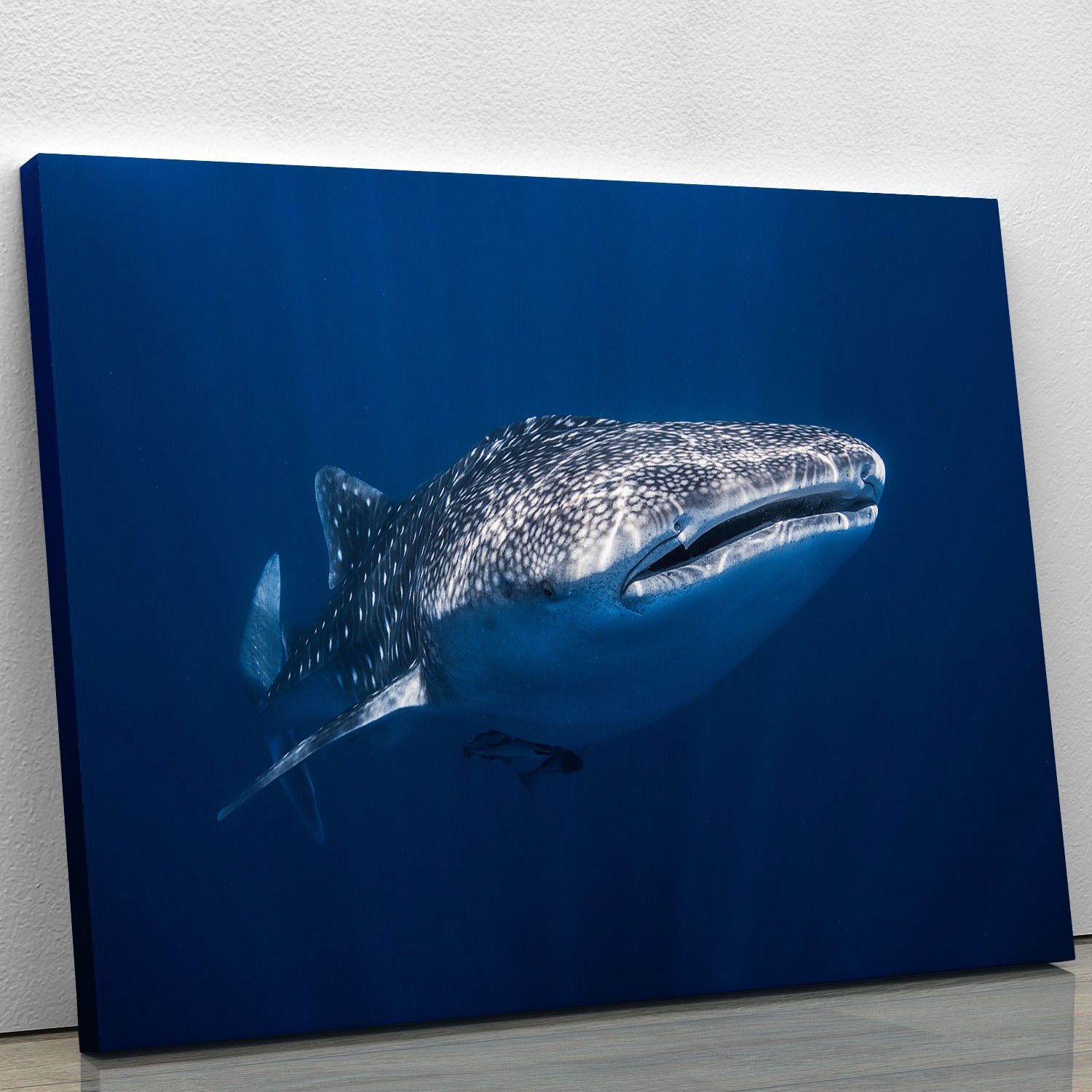 Whale Shark Canvas Print or Poster - Canvas Art Rocks - 1