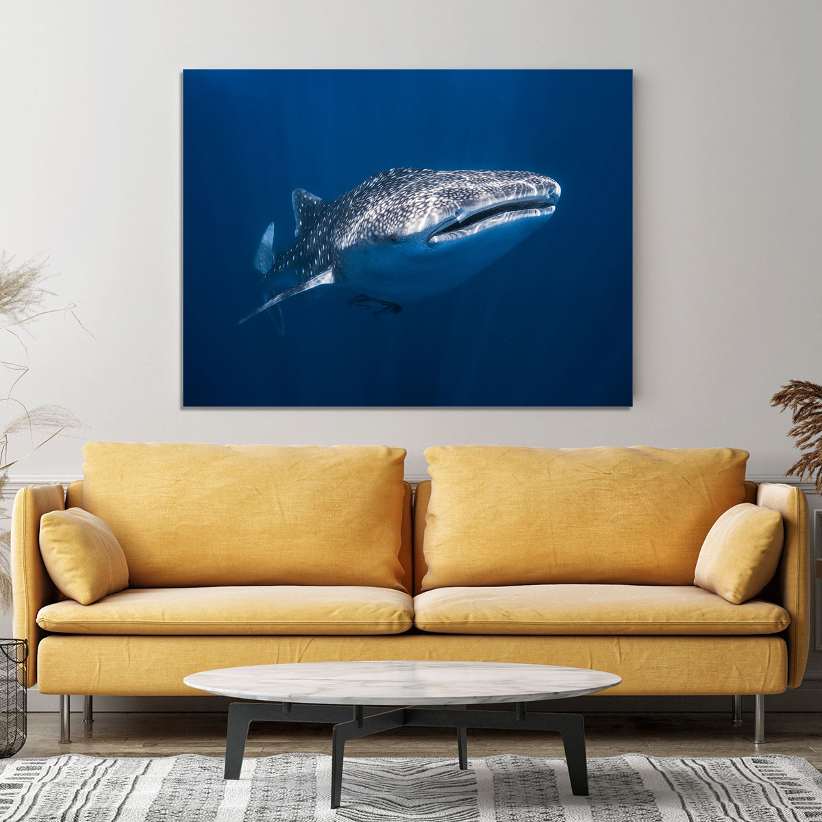 Whale Shark Canvas Print or Poster - Canvas Art Rocks - 4