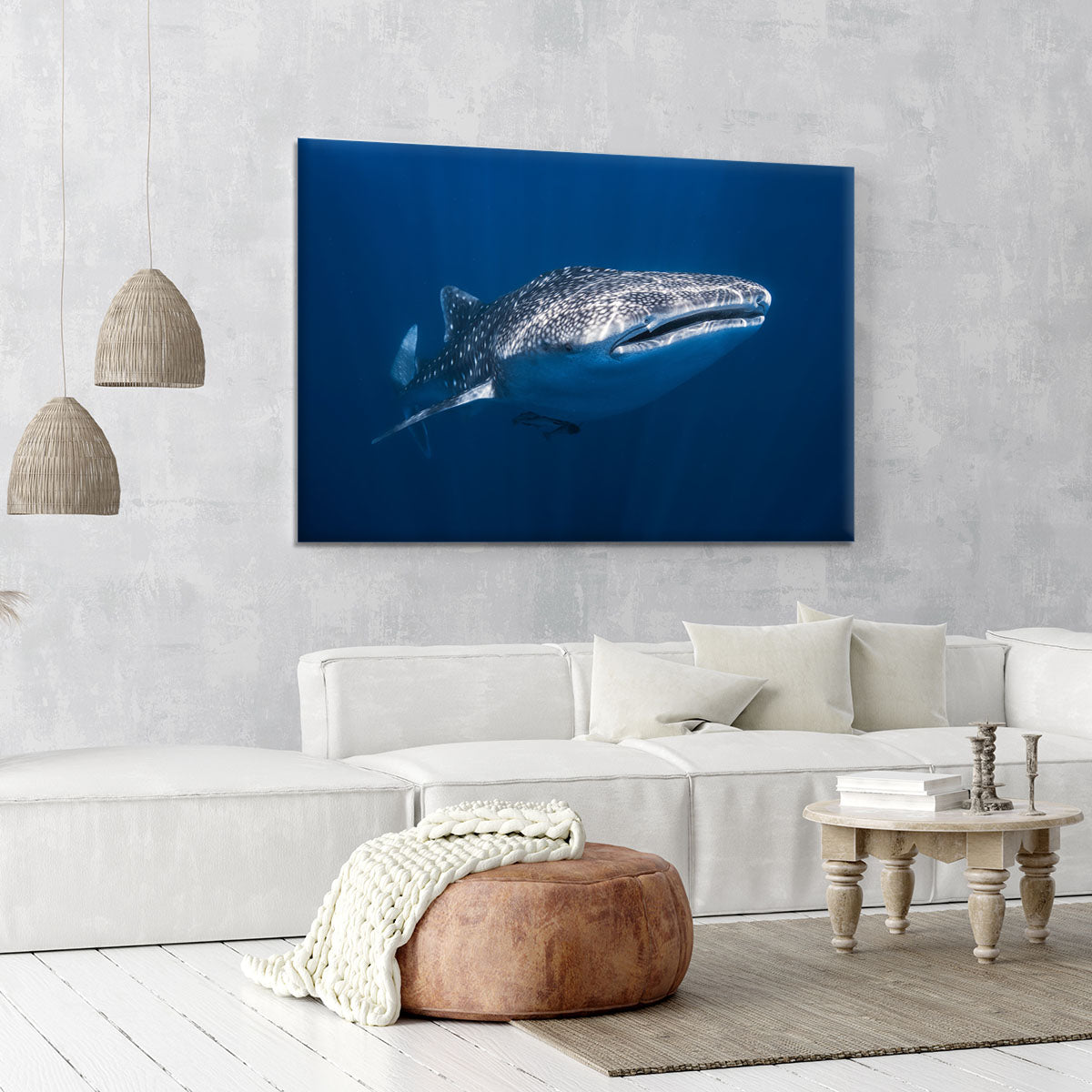 Whale Shark Canvas Print or Poster - Canvas Art Rocks - 6