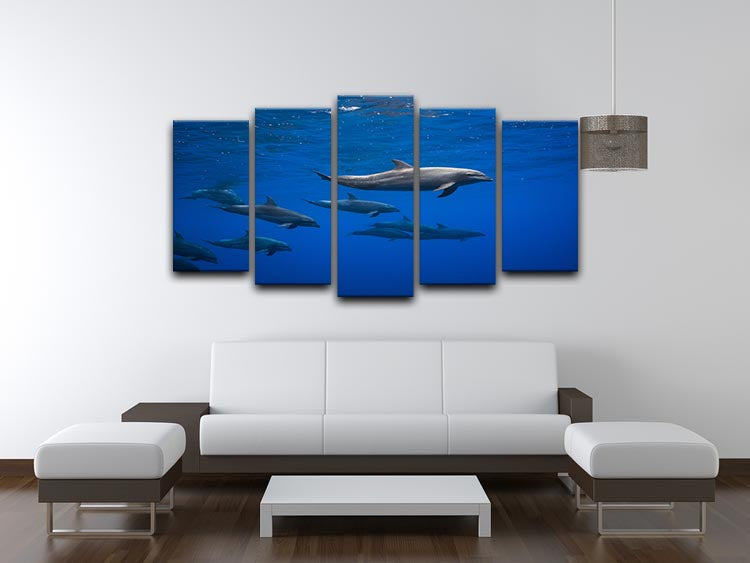 Dolphins 5 Split Panel Canvas - 1x - 3