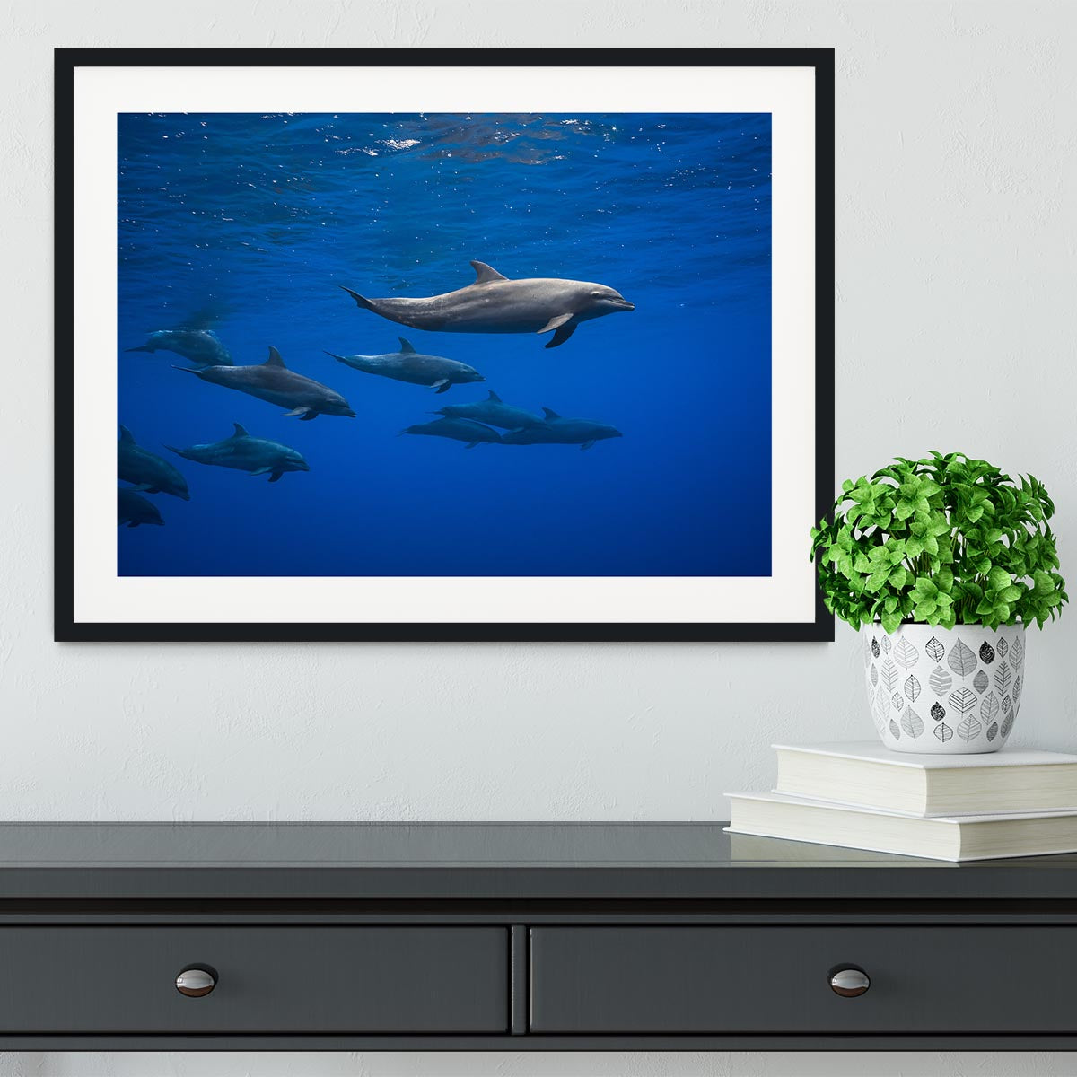 Dolphins Framed Print - 1x - 1