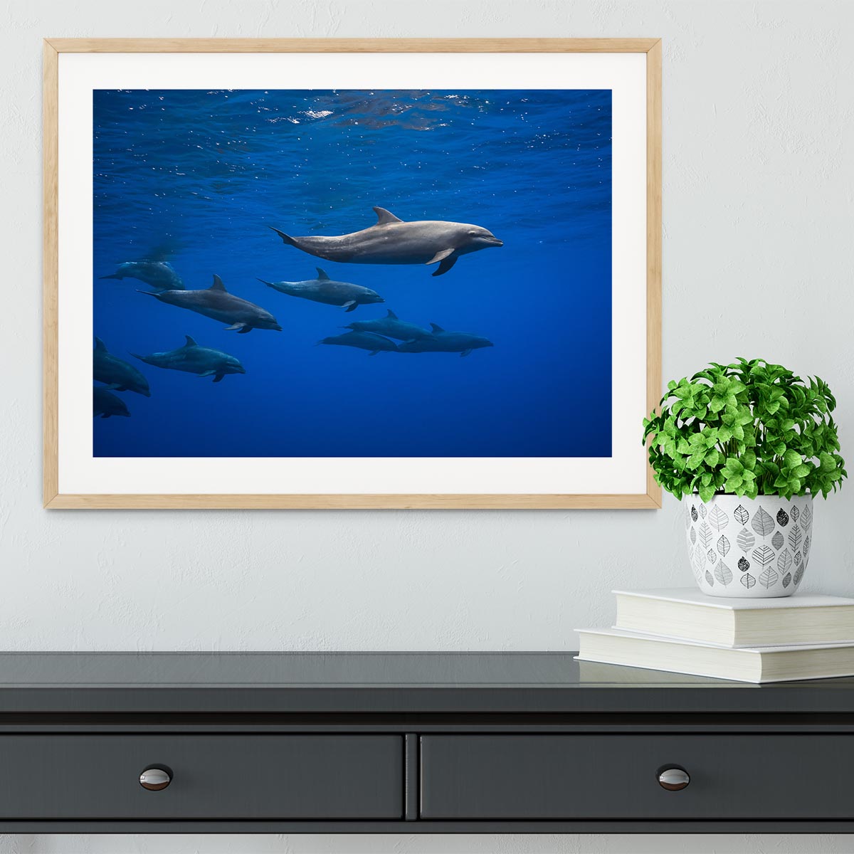 Dolphins Framed Print - 1x - 3