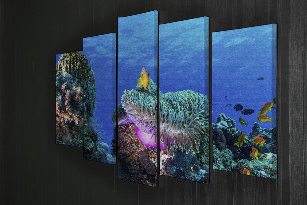 Sea Life 5 Split Panel Canvas - Canvas Art Rocks - 2