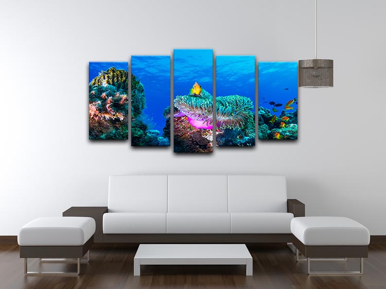 Sea Life 5 Split Panel Canvas - Canvas Art Rocks - 3