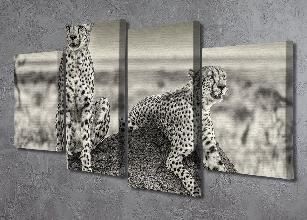 Two Cheetahs watching out 4 Split Panel Canvas - Canvas Art Rocks - 2