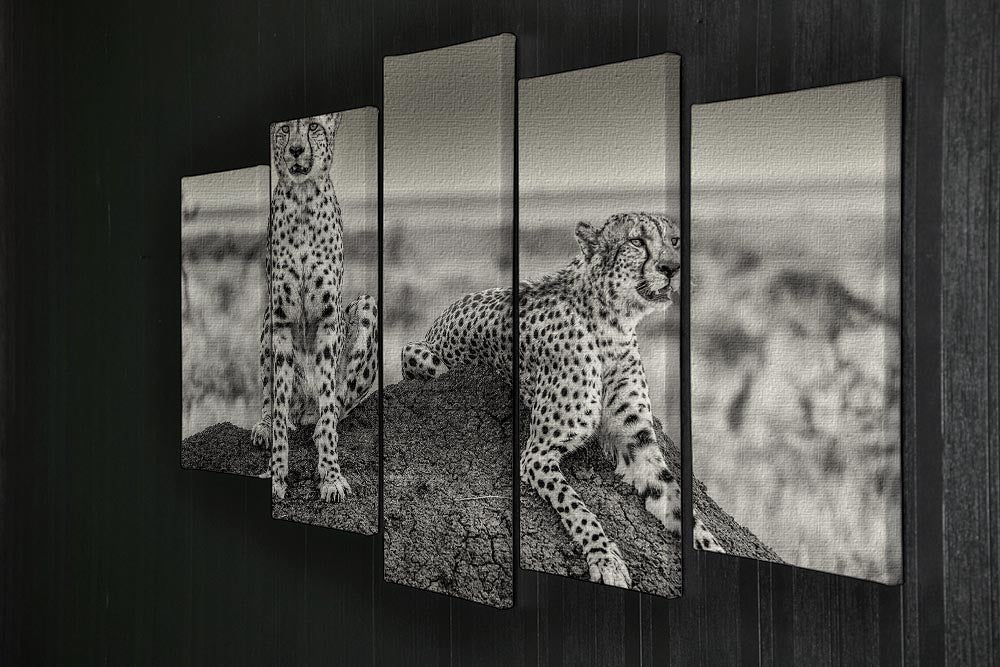 Two Cheetahs watching out 5 Split Panel Canvas - Canvas Art Rocks - 2