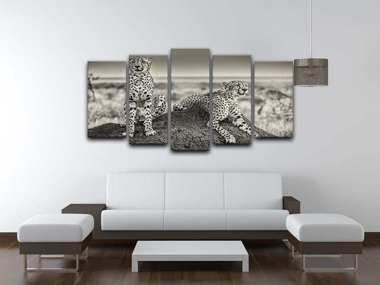 Two Cheetahs watching out 5 Split Panel Canvas - Canvas Art Rocks - 3