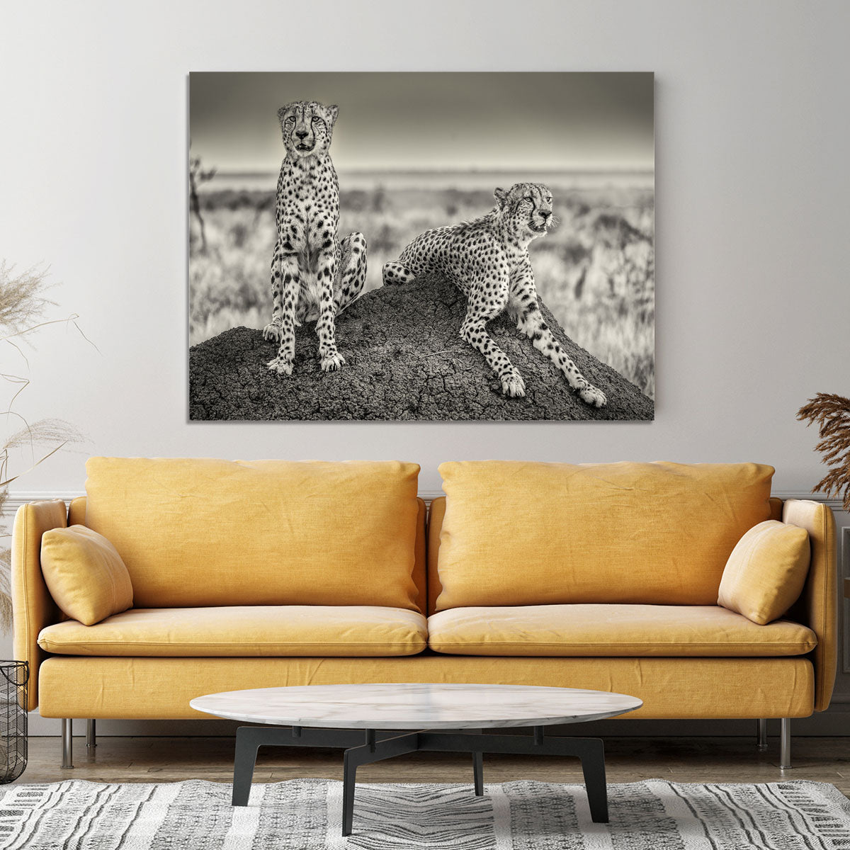 Two Cheetahs watching out Canvas Print or Poster - Canvas Art Rocks - 4