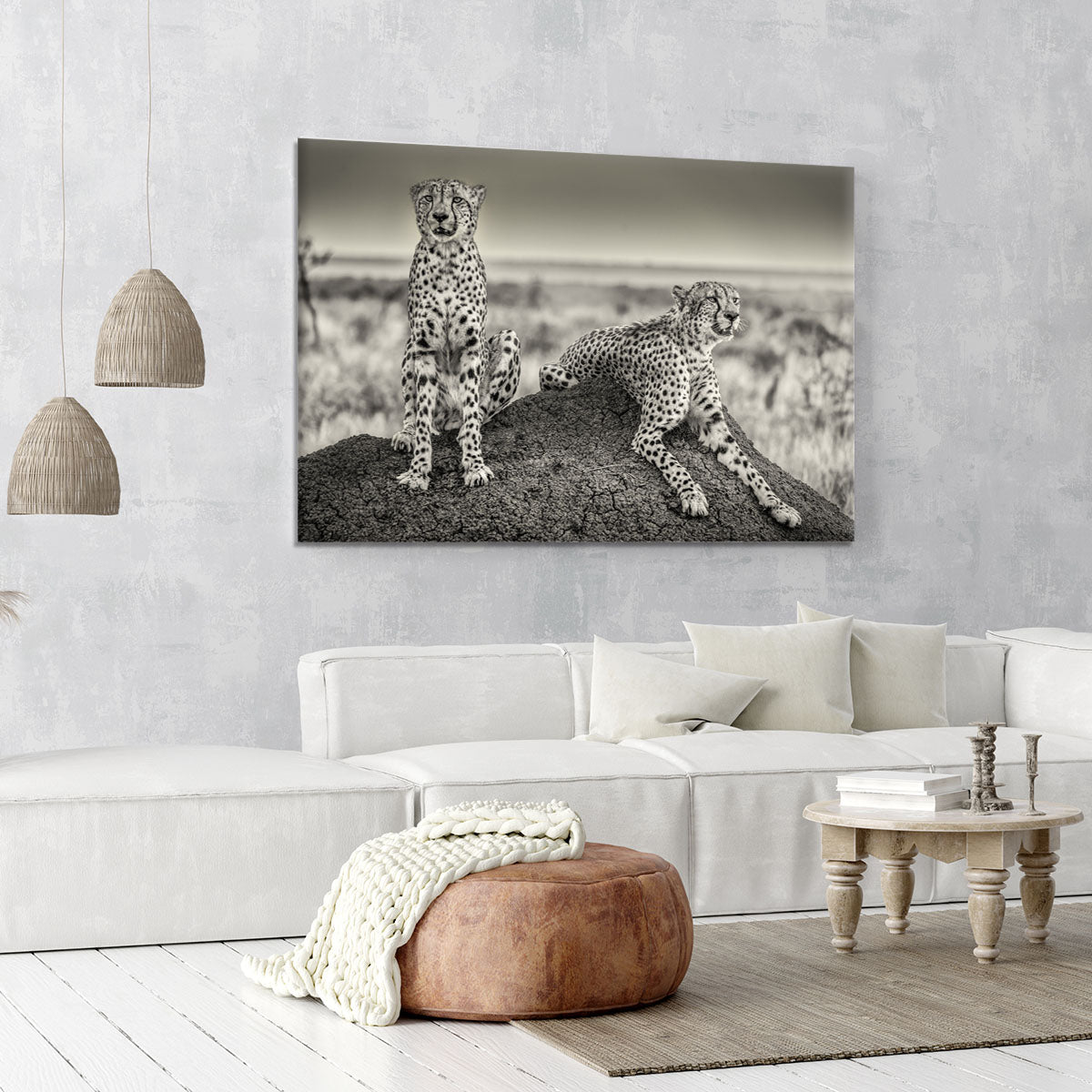 Two Cheetahs watching out Canvas Print or Poster - Canvas Art Rocks - 6