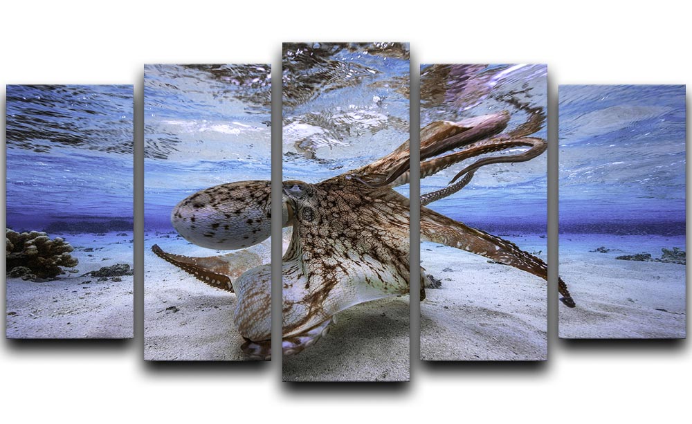 Dancing Octopus 5 Split Panel Canvas - Canvas Art Rocks - 1