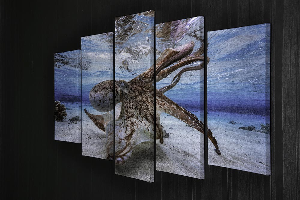 Dancing Octopus 5 Split Panel Canvas - Canvas Art Rocks - 2