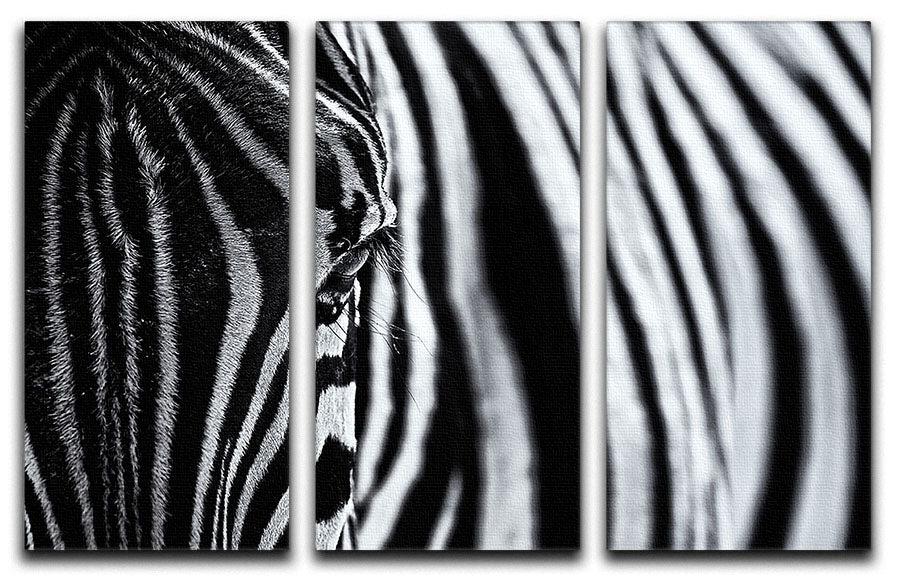Zebra Close Up 3 Split Panel Canvas Print - Canvas Art Rocks - 1