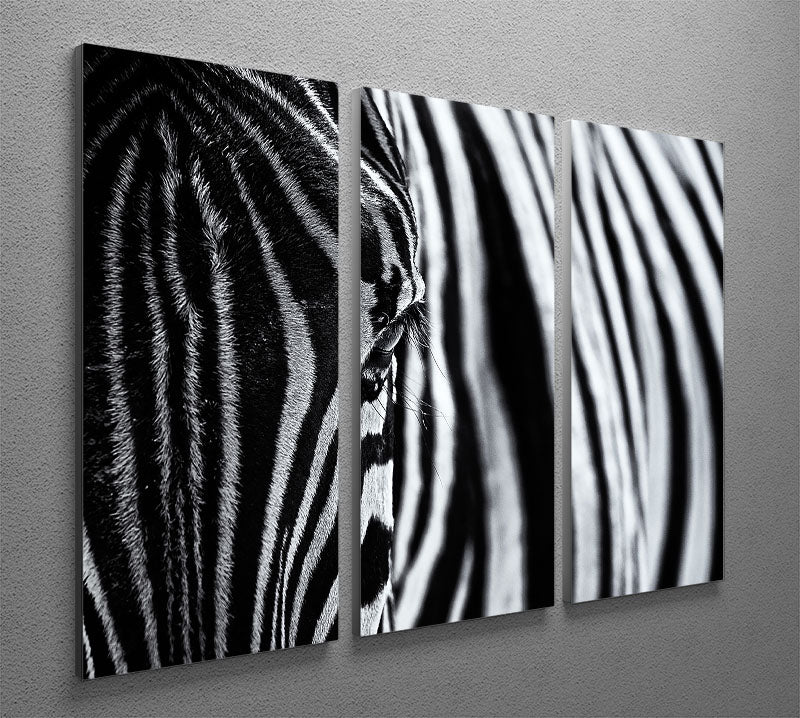 Zebra Close Up 3 Split Panel Canvas Print - Canvas Art Rocks - 2