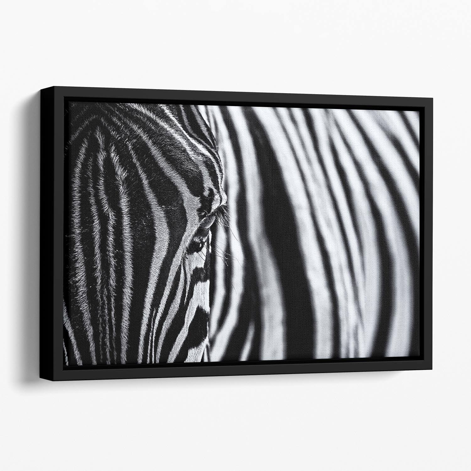 Zebra Close Up Floating Framed Canvas - Canvas Art Rocks - 1