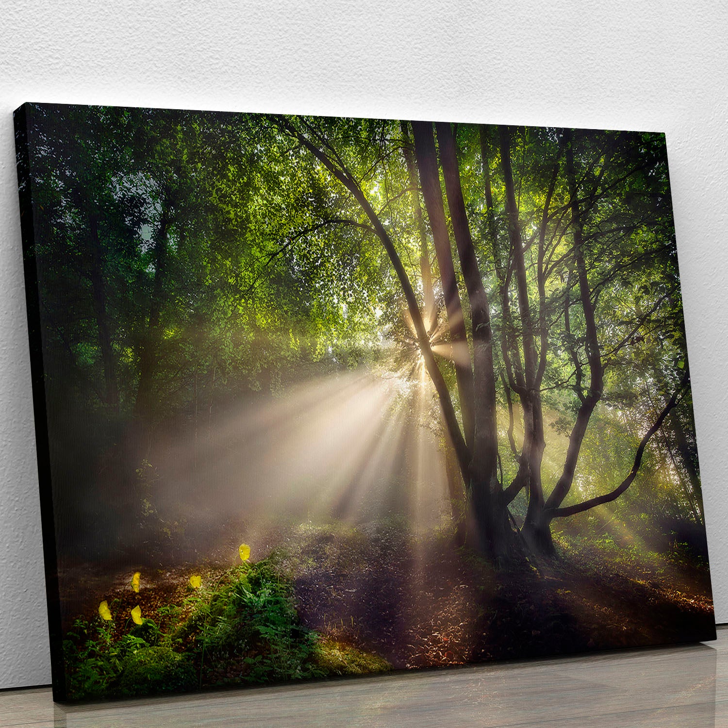 The Morning Light Canvas Print or Poster - Canvas Art Rocks - 1