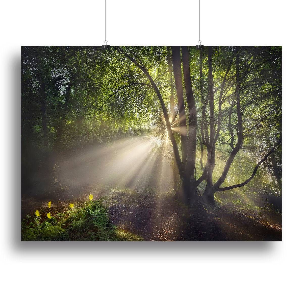 The Morning Light Canvas Print or Poster - Canvas Art Rocks - 2