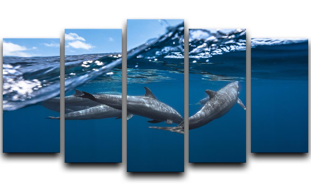 Dolphins 5 Split Panel Canvas - 1x - 1