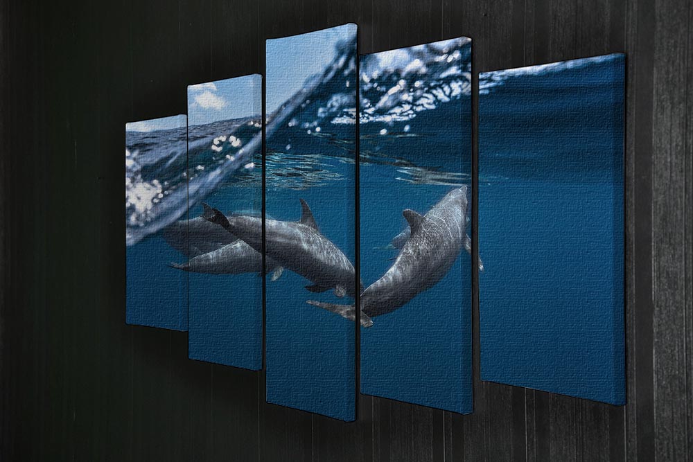 Dolphins 5 Split Panel Canvas - 1x - 2