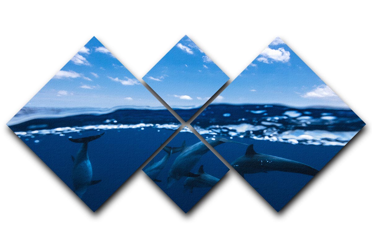 Between Air And Water With The Dolphins 4 Square Multi Panel Canvas - Canvas Art Rocks - 1
