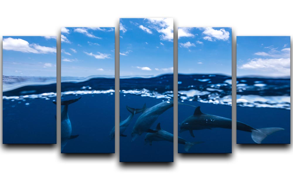 Between Air And Water With The Dolphins 5 Split Panel Canvas - Canvas Art Rocks - 1