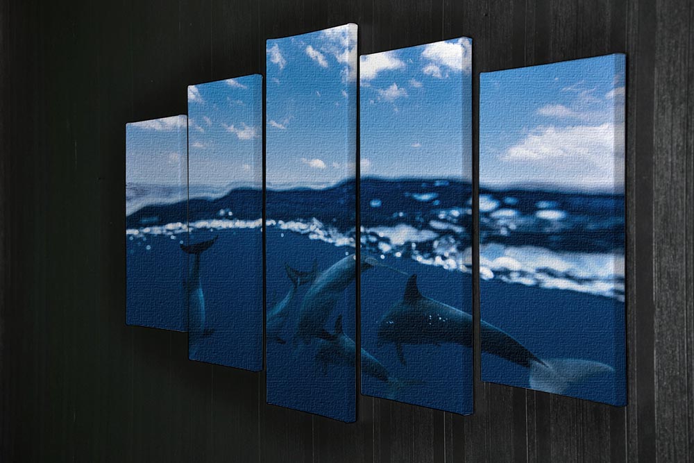 Between Air And Water With The Dolphins 5 Split Panel Canvas - Canvas Art Rocks - 2
