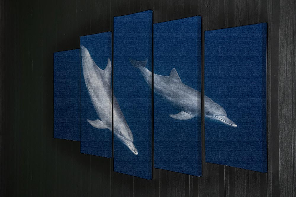 Bottlenose Dolphins 5 Split Panel Canvas - 1x - 2