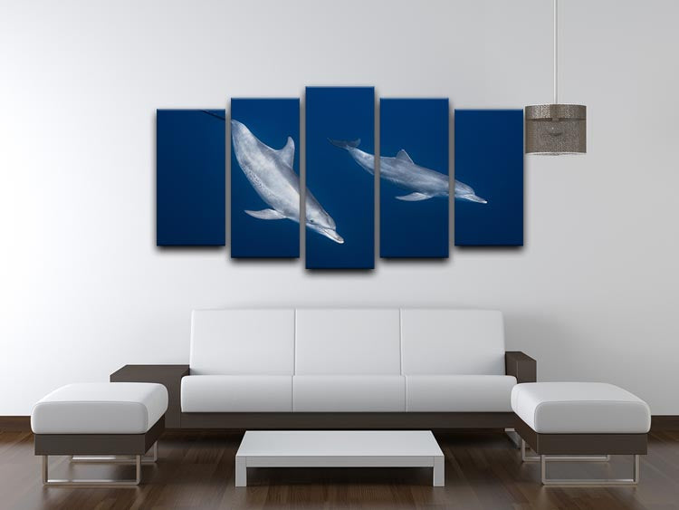 Bottlenose Dolphins 5 Split Panel Canvas - 1x - 3