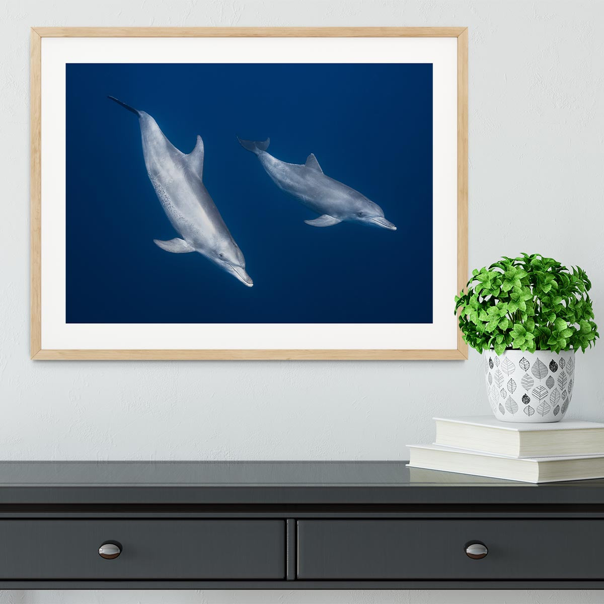 Bottlenose Dolphins Framed Print - 1x - 3